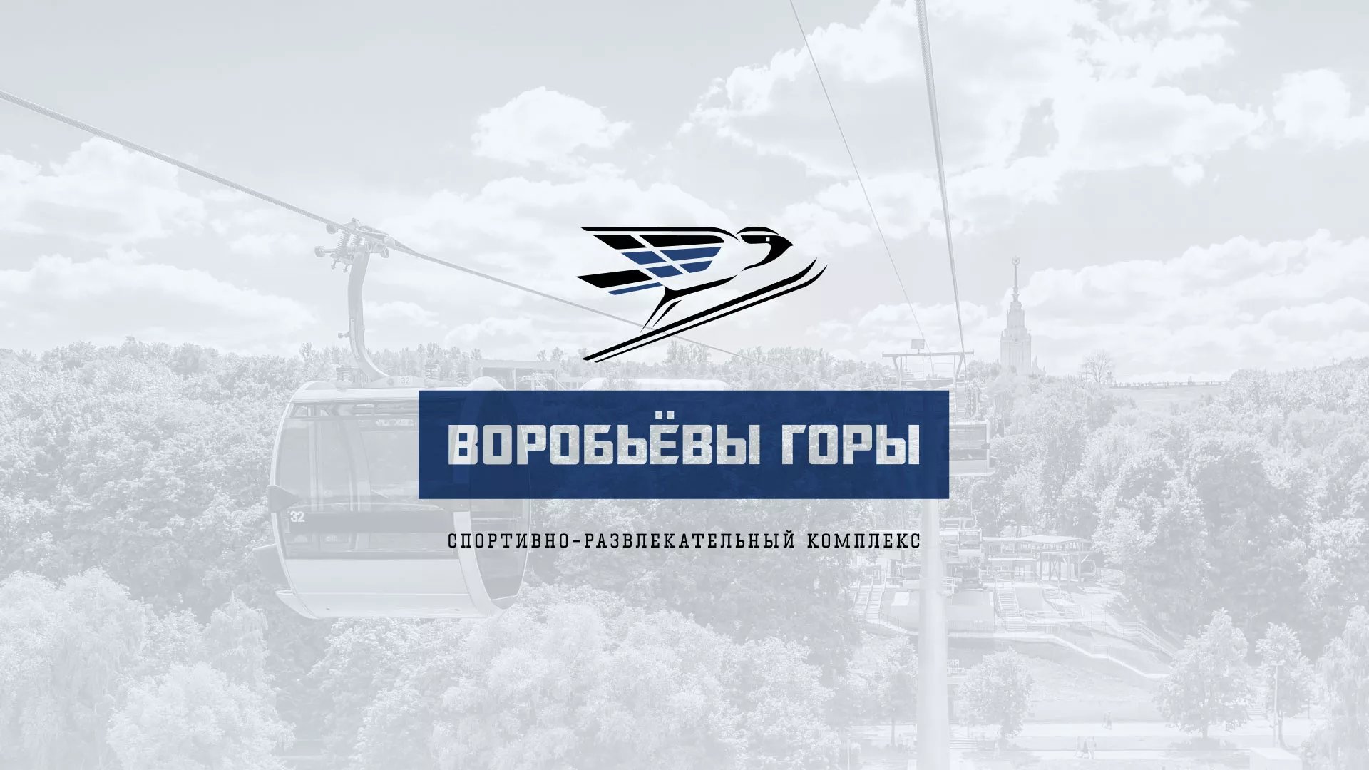 Разработка сайта в Волхове для спортивно-развлекательного комплекса «Воробьёвы горы»
